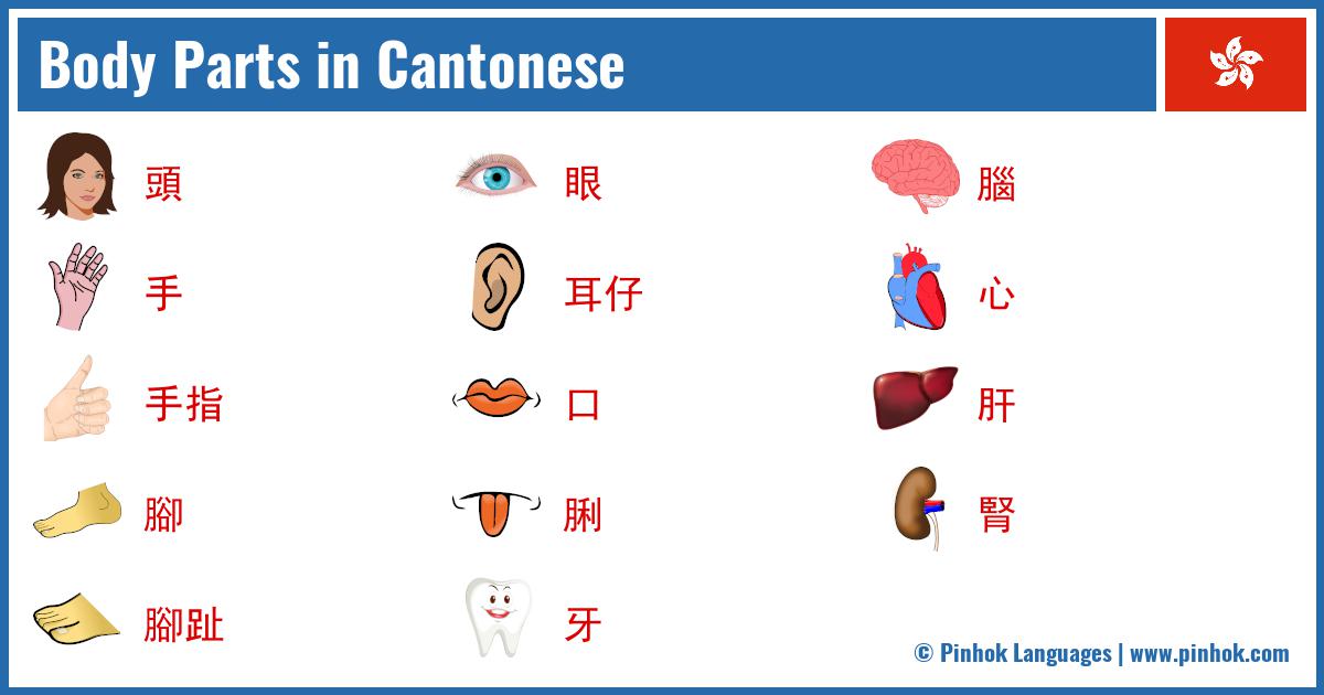 Body Parts in Cantonese