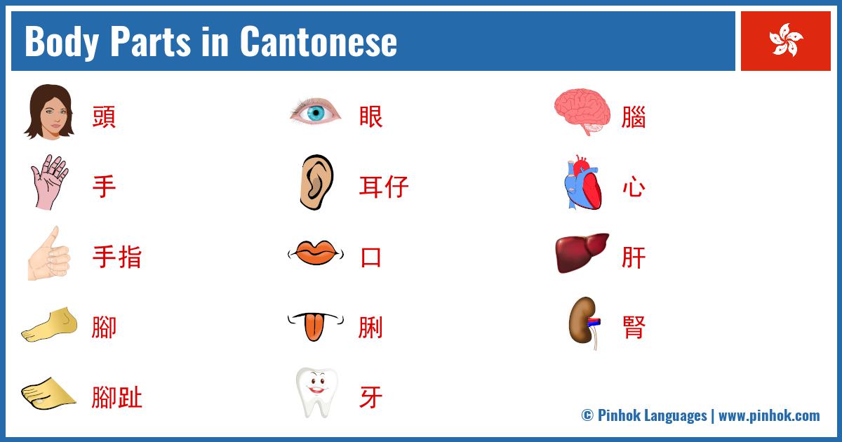 Body Parts in Cantonese