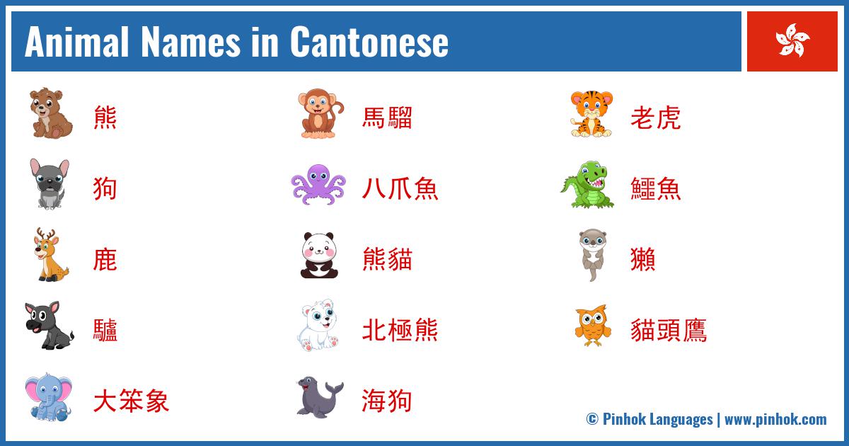 Animal Names in Cantonese