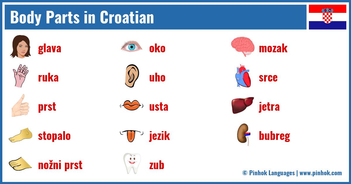 Body Parts in Croatian