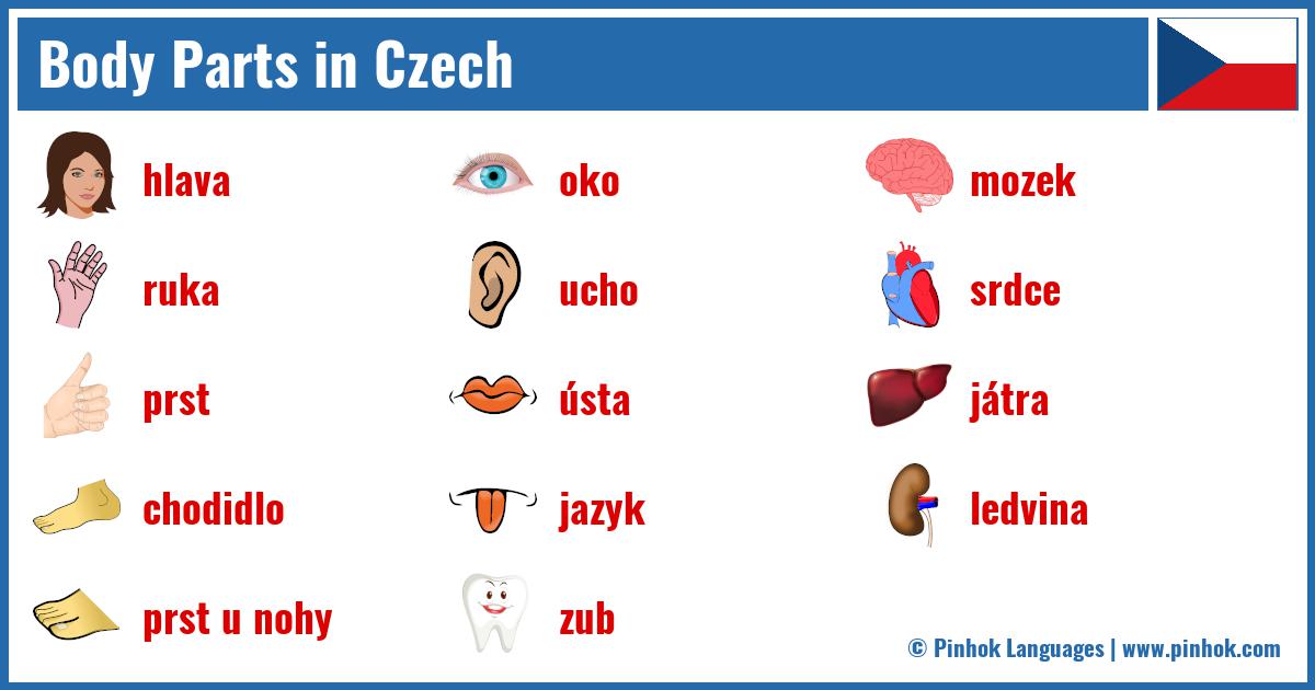 Body Parts in Czech