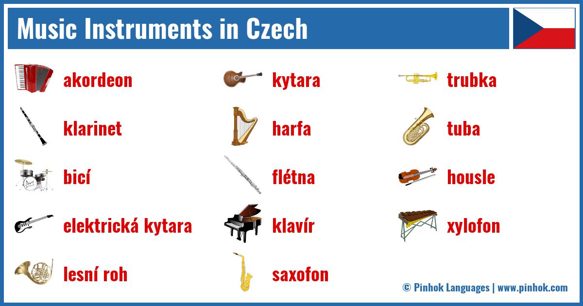 Music Instruments in Czech