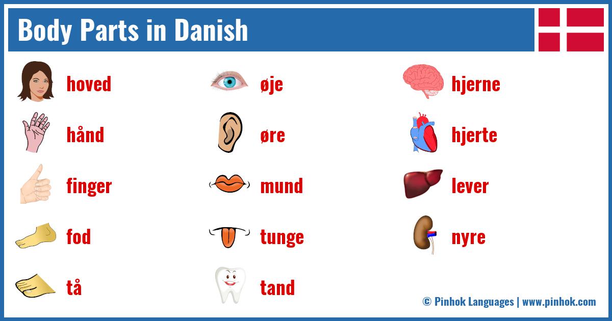 Body Parts in Danish