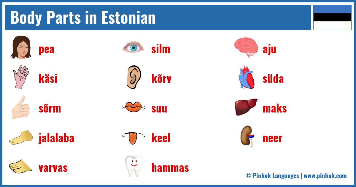 Body Parts in Estonian