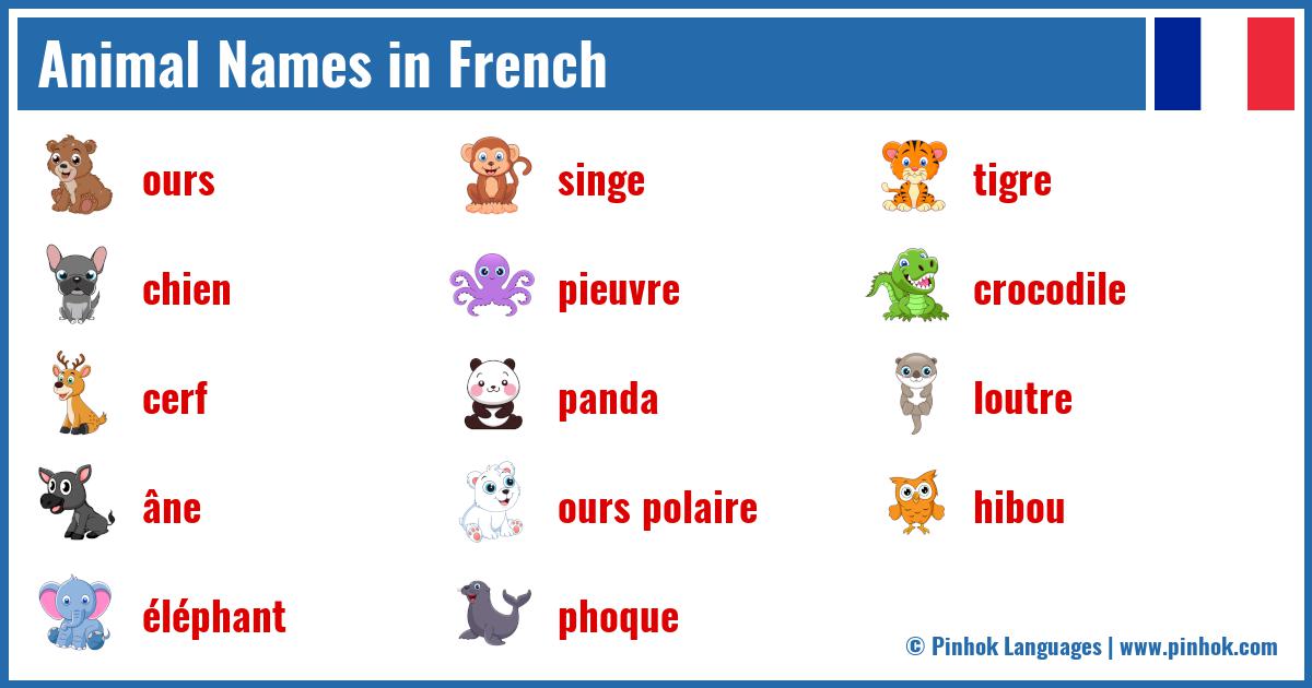 Animal Names In French