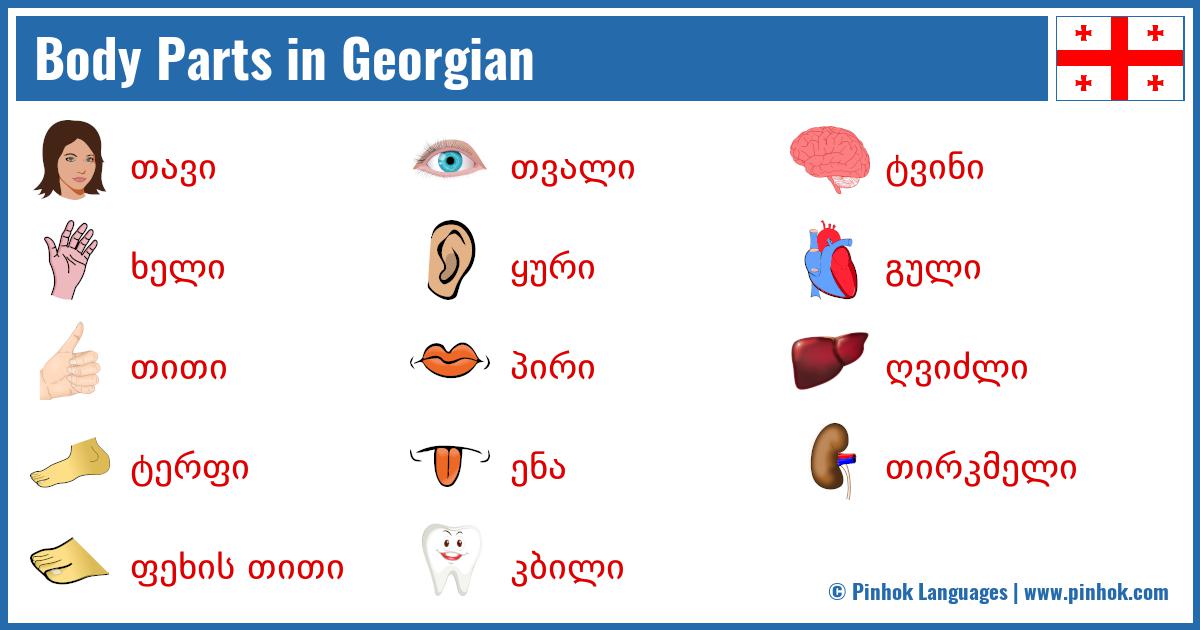 Body Parts in Georgian