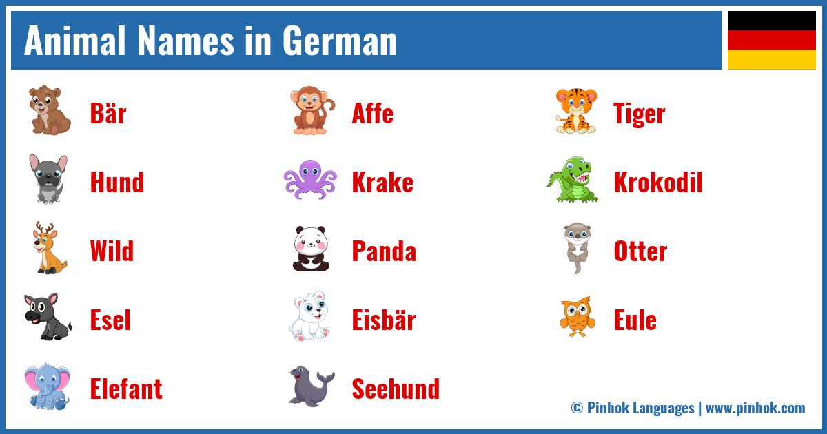 Animal Names in German