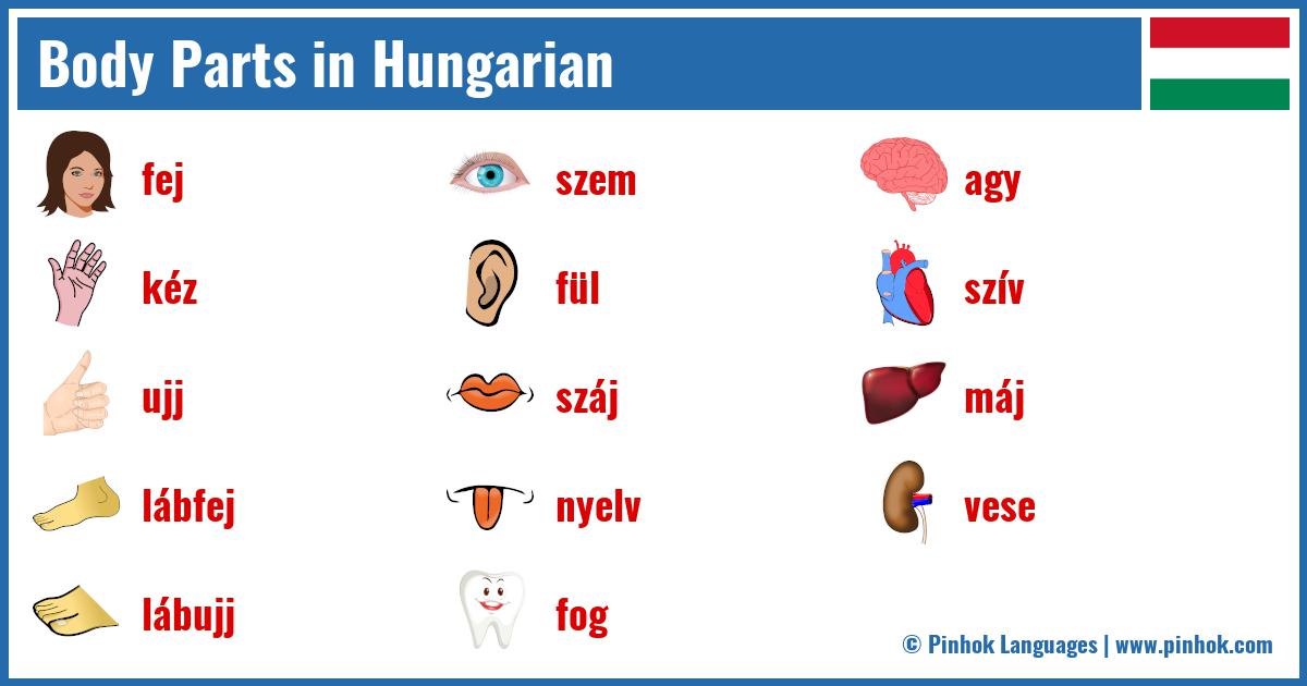 Body Parts in Hungarian