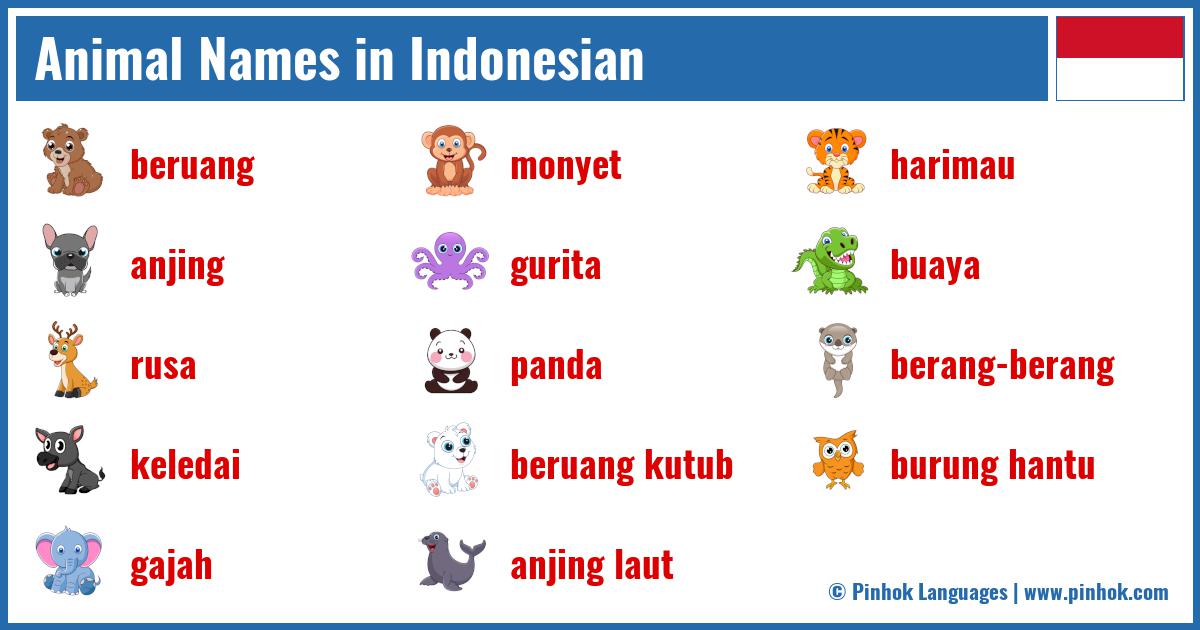 Animal Names in Indonesian