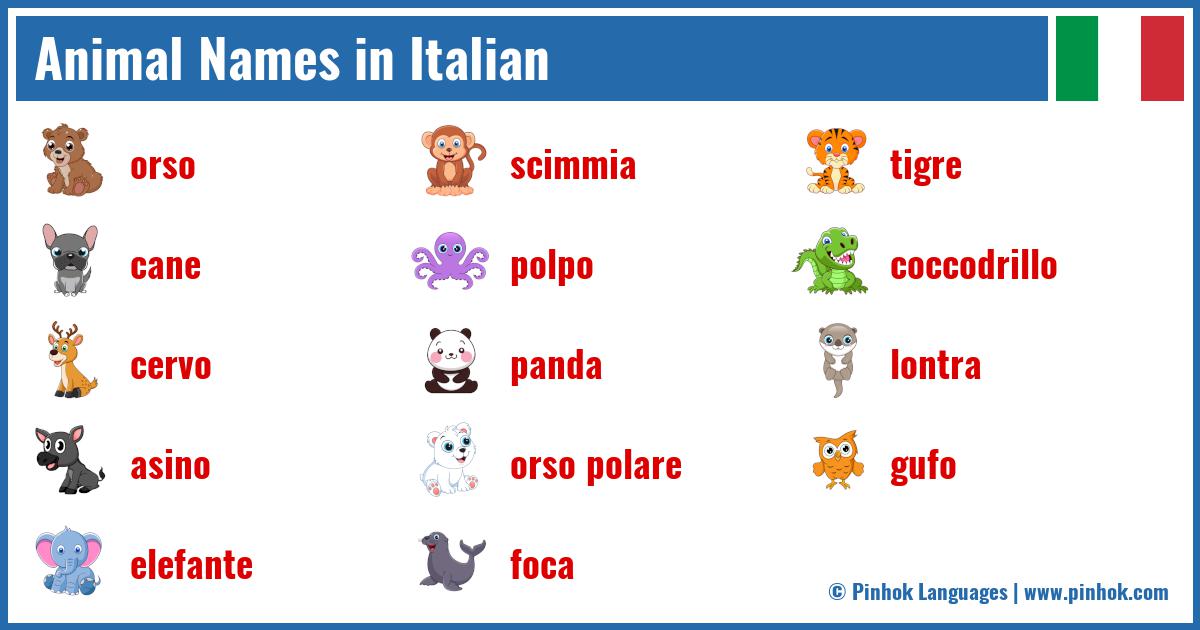 Animal Names in Italian