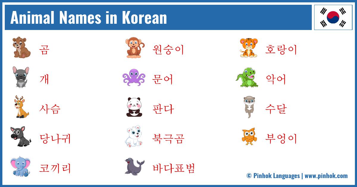 Animal Names in Korean