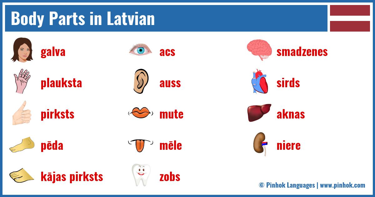Body Parts in Latvian
