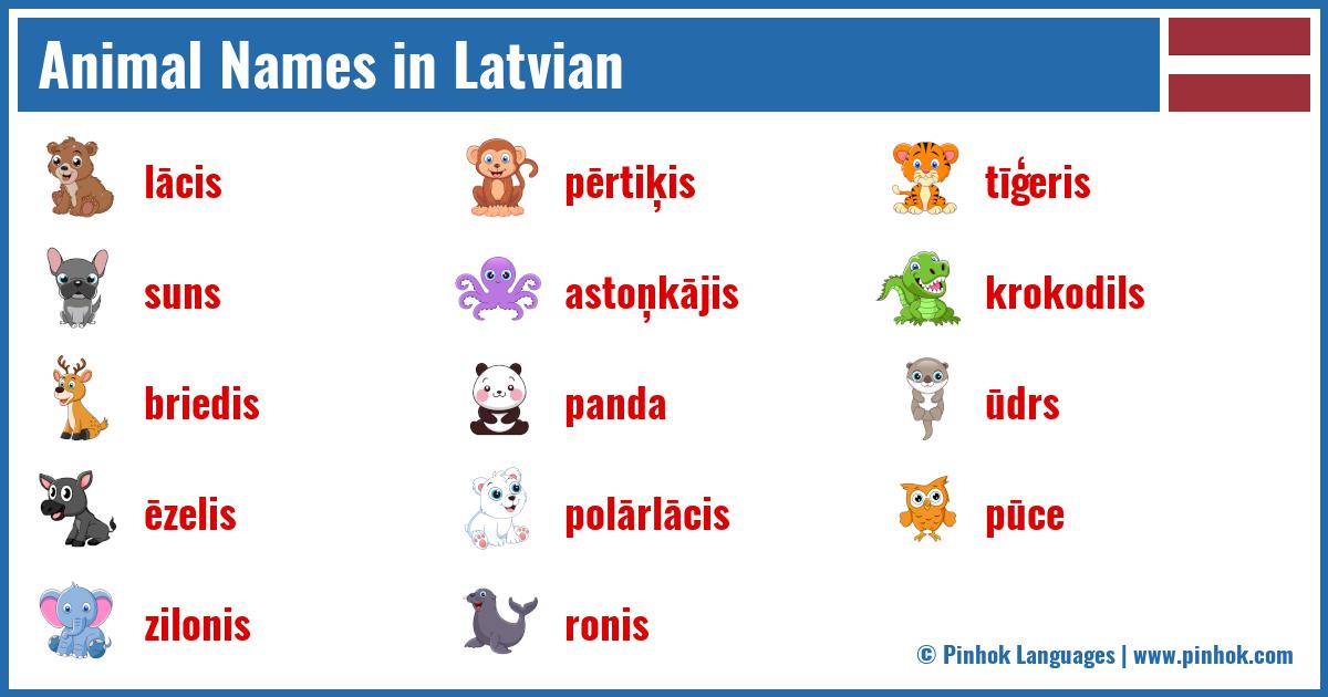 Animal Names in Latvian