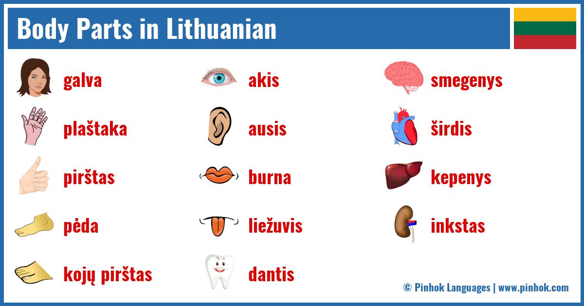 Body Parts in Lithuanian