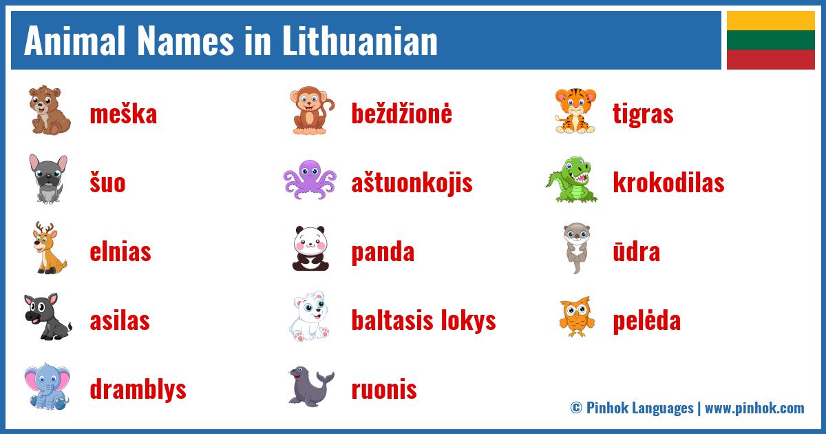 Animal Names in Lithuanian