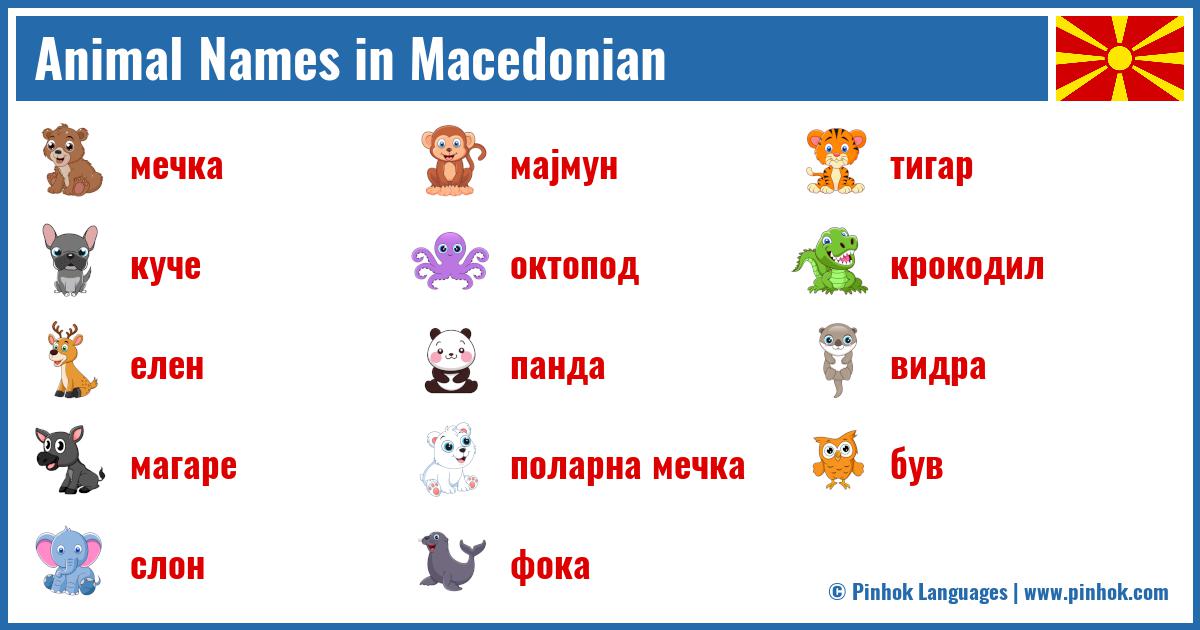 Animal Names in Macedonian