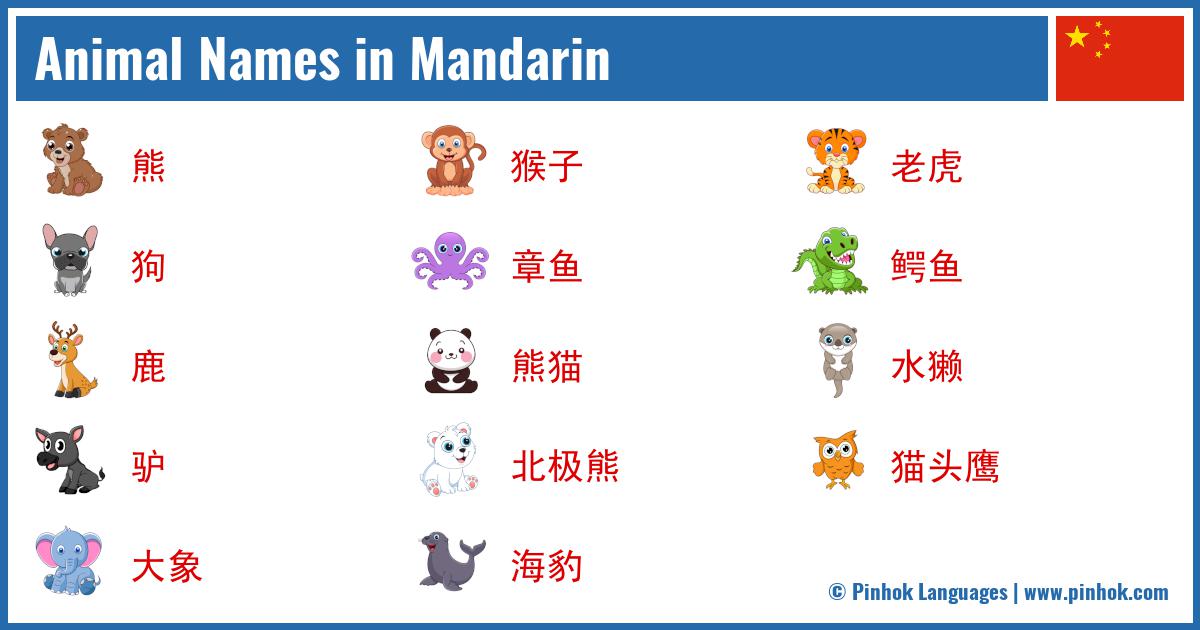 Animal Names in Mandarin