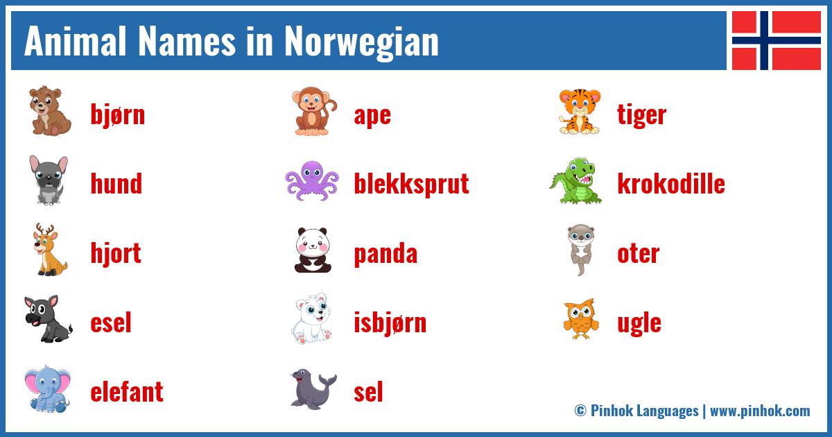 Animal Names in Norwegian