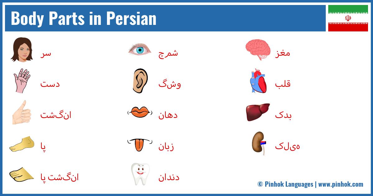 Body Parts in Persian