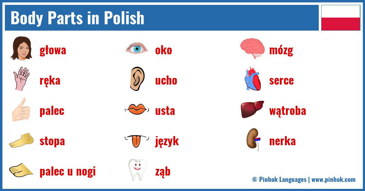 Body Parts in Polish