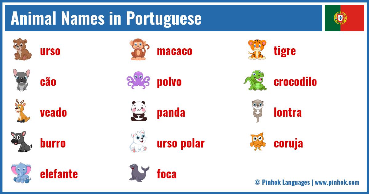 Animal Names in Portuguese