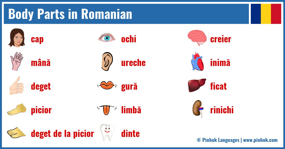 Body Parts in Romanian