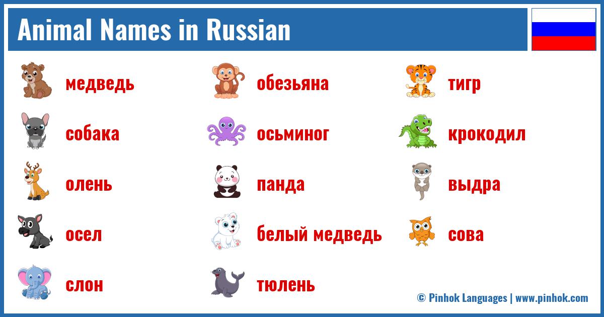 Animal Names in Russian
