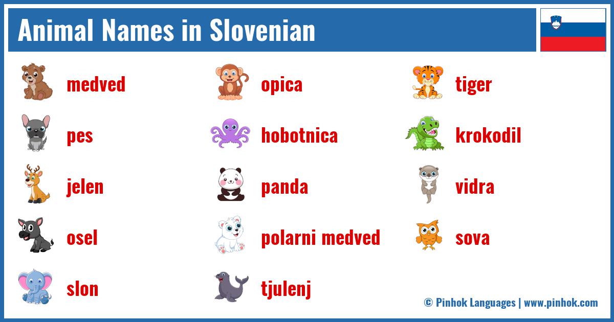 Animal Names in Slovenian