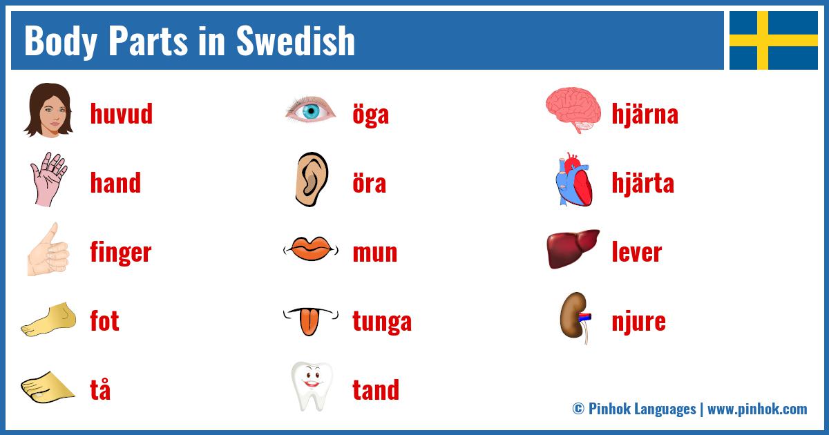 Body Parts in Swedish