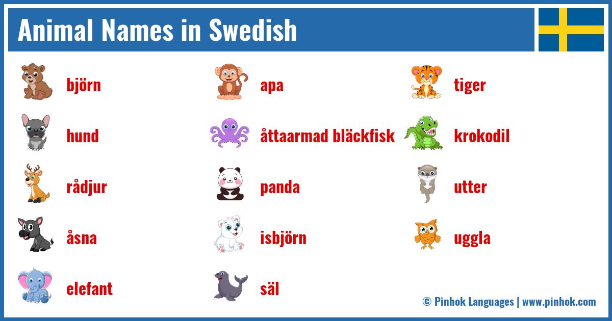Animal Names in Swedish