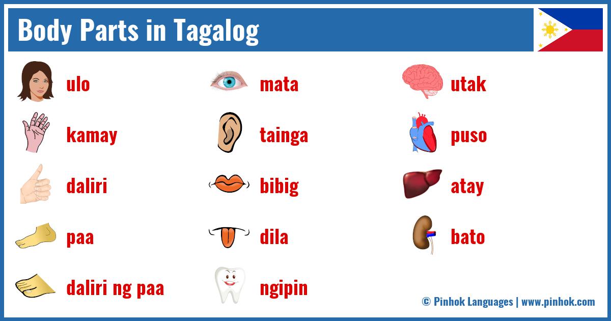Body Parts in Tagalog