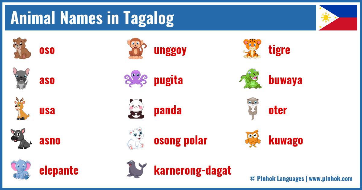 Animal Names in Tagalog