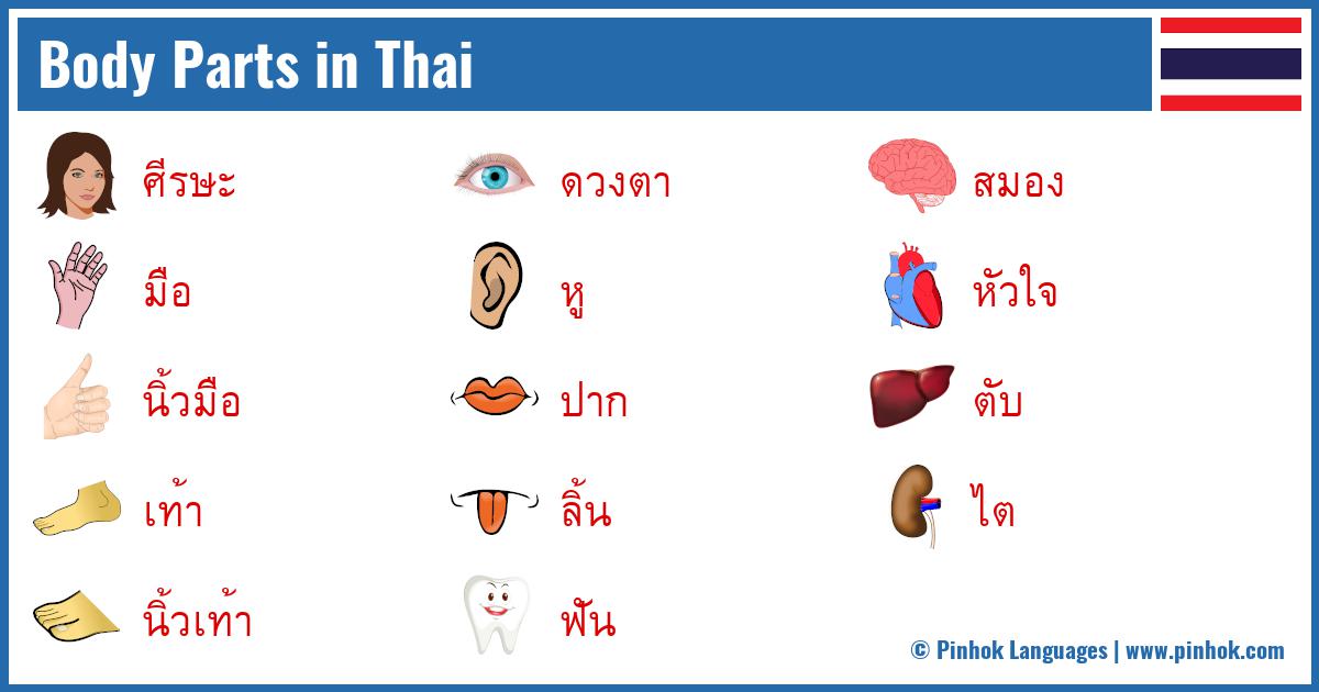 Body Parts in Thai