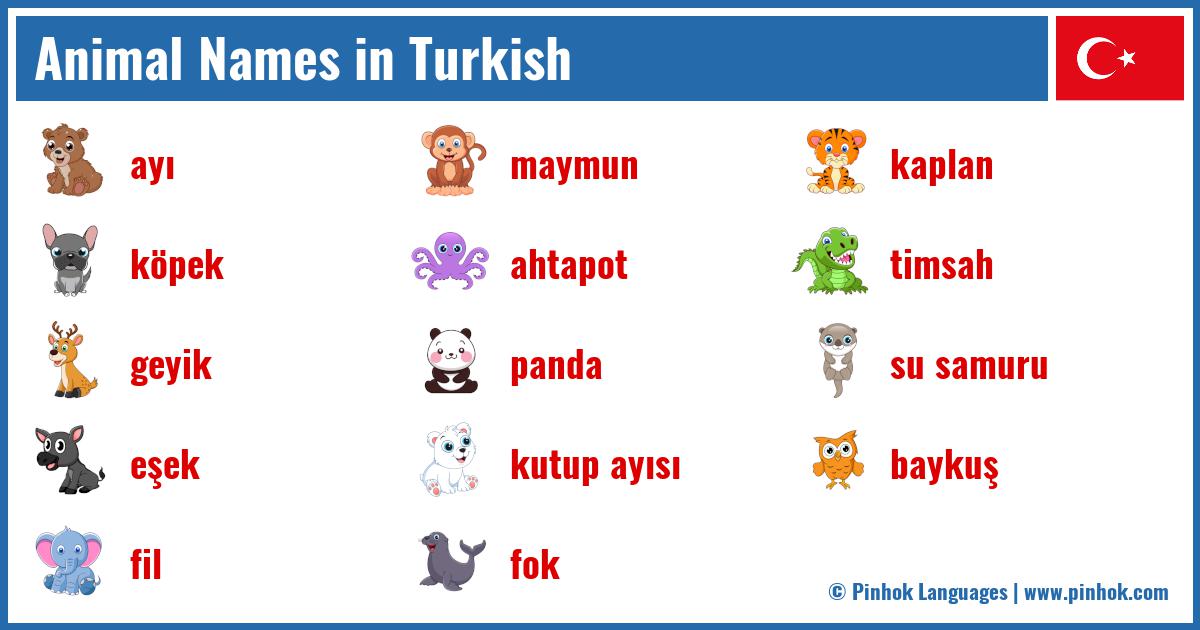 Animal Names in Turkish