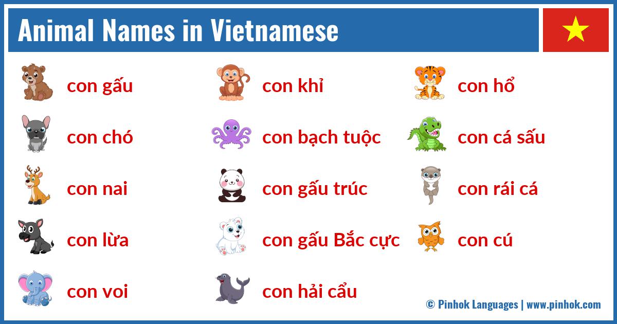 Animal Names in Vietnamese