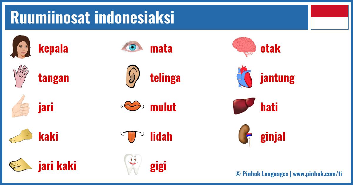 Ruumiinosat indonesiaksi