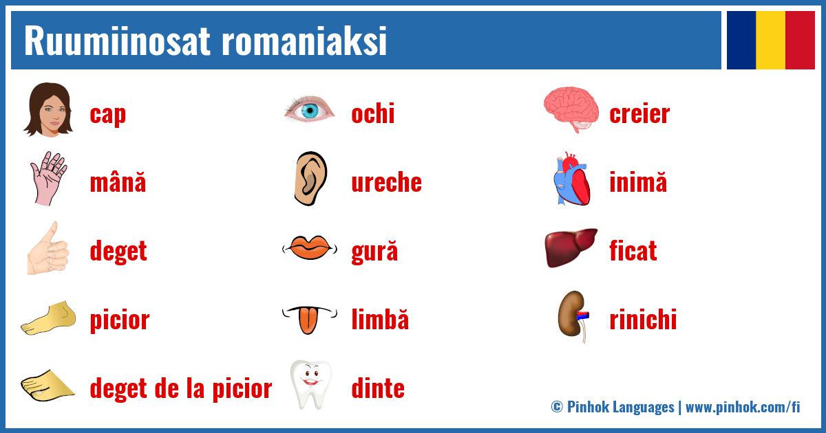 Ruumiinosat romaniaksi