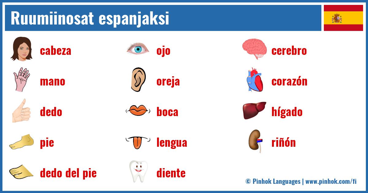 Ruumiinosat espanjaksi