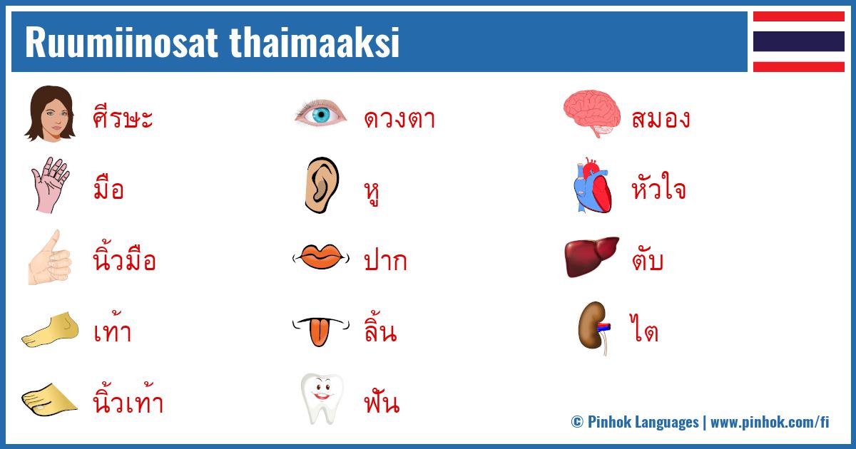 Ruumiinosat thaimaaksi