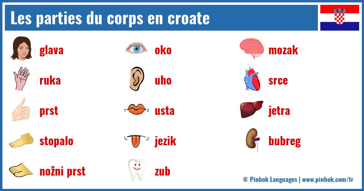 Les parties du corps en croate