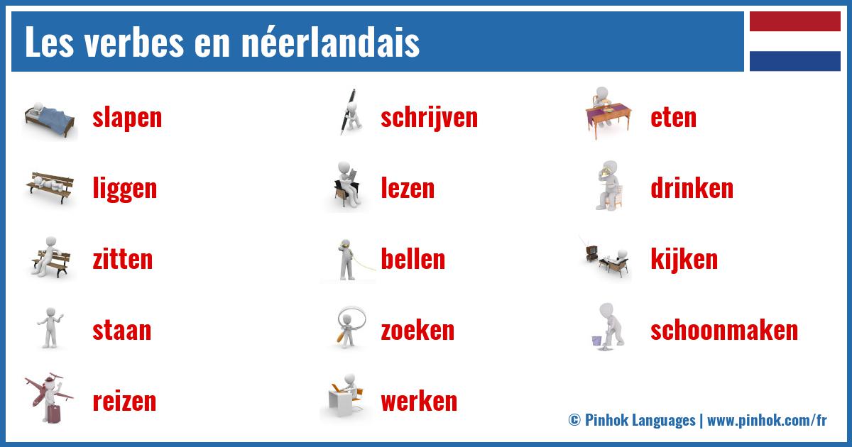 Les verbes en néerlandais