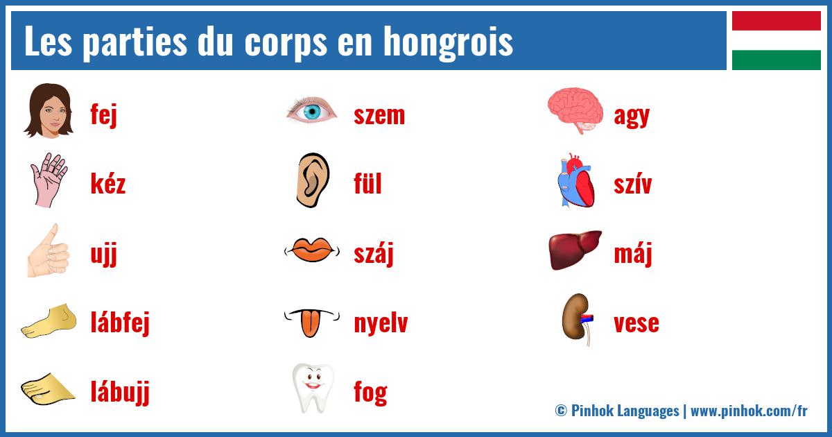 Les parties du corps en hongrois