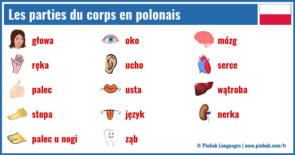 Les parties du corps en polonais