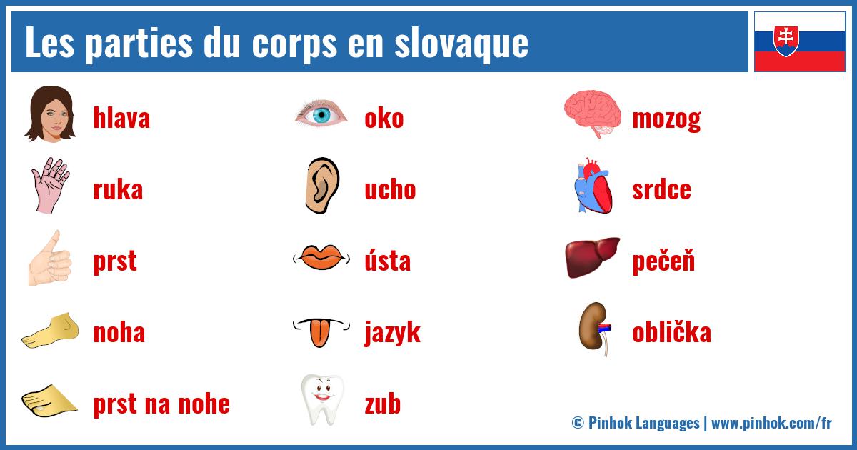Les parties du corps en slovaque