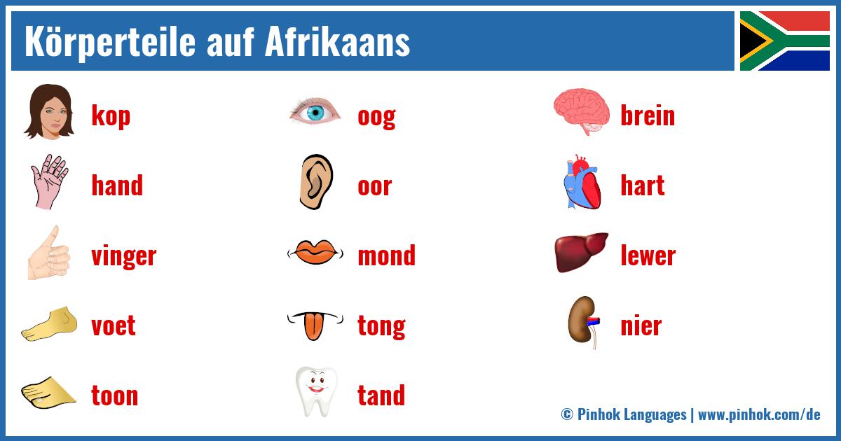 Körperteile auf Afrikaans