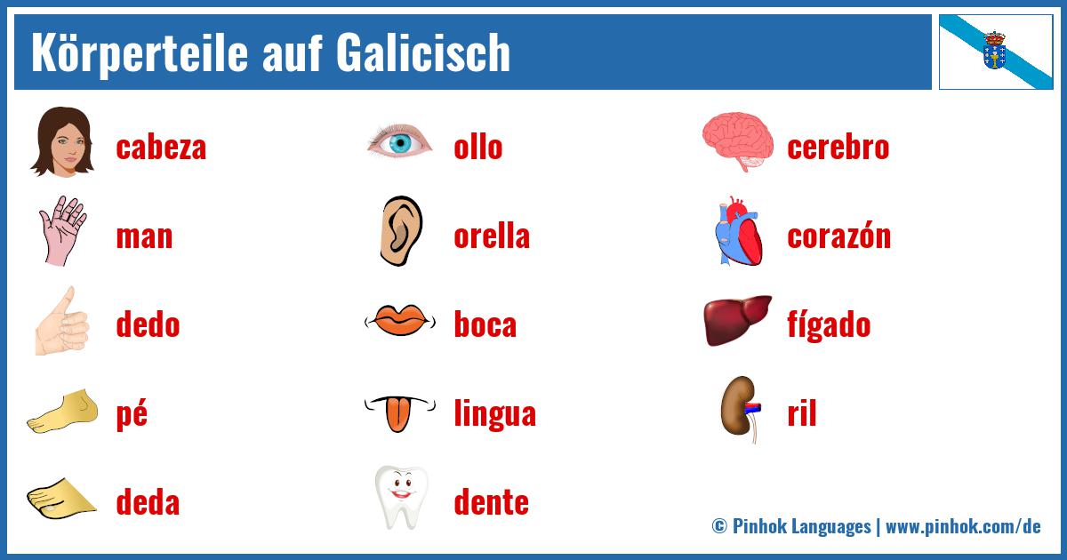 Körperteile auf Galicisch