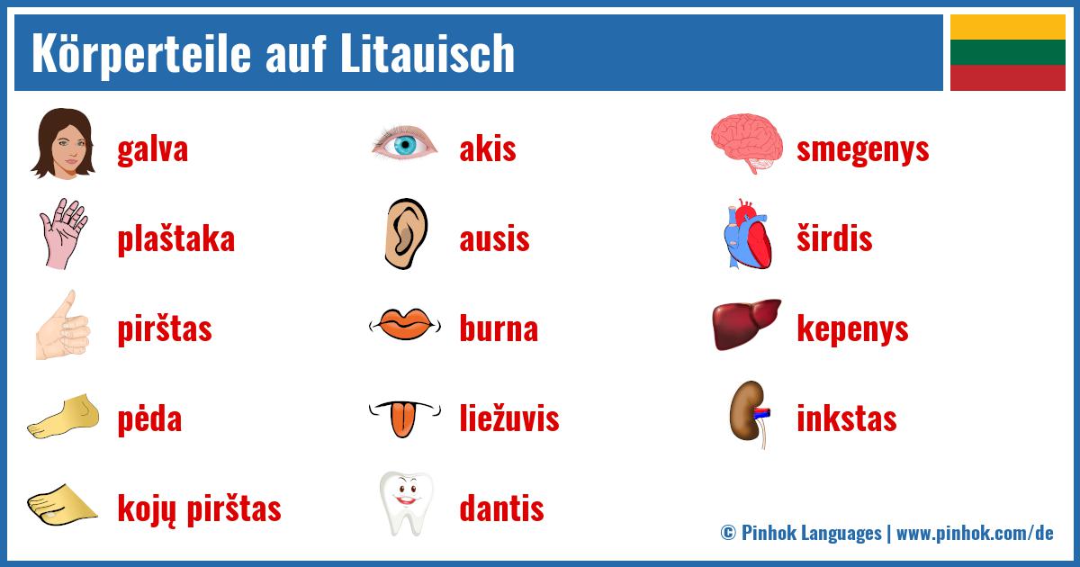 Körperteile auf Litauisch
