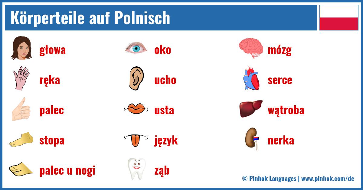 Körperteile auf Polnisch