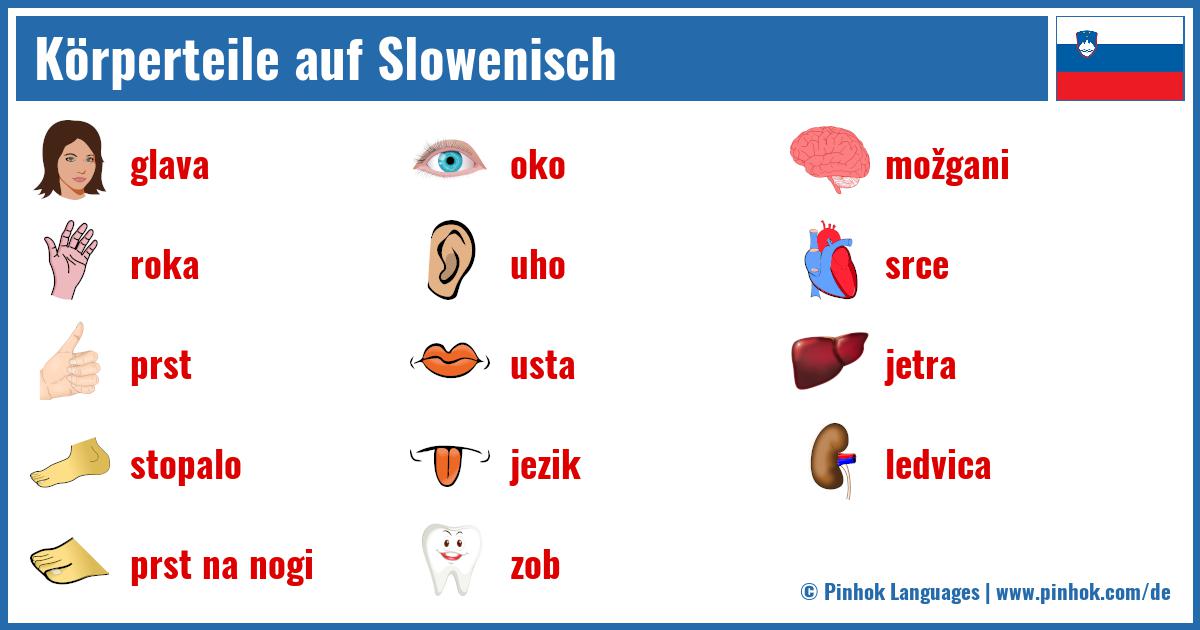 Körperteile auf Slowenisch