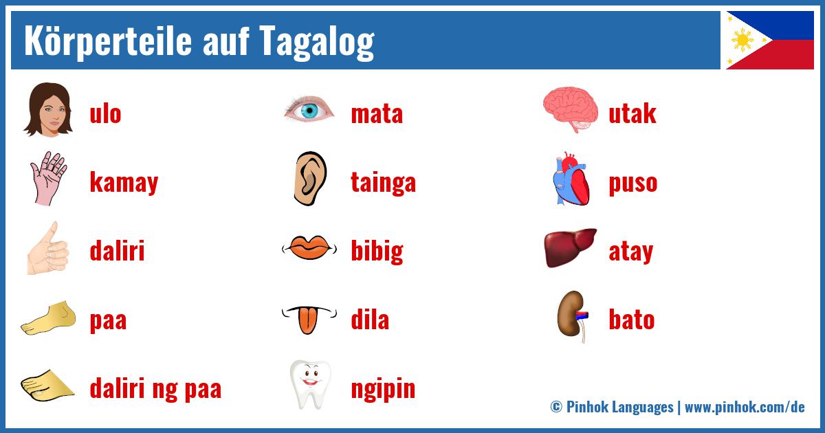 Körperteile auf Tagalog